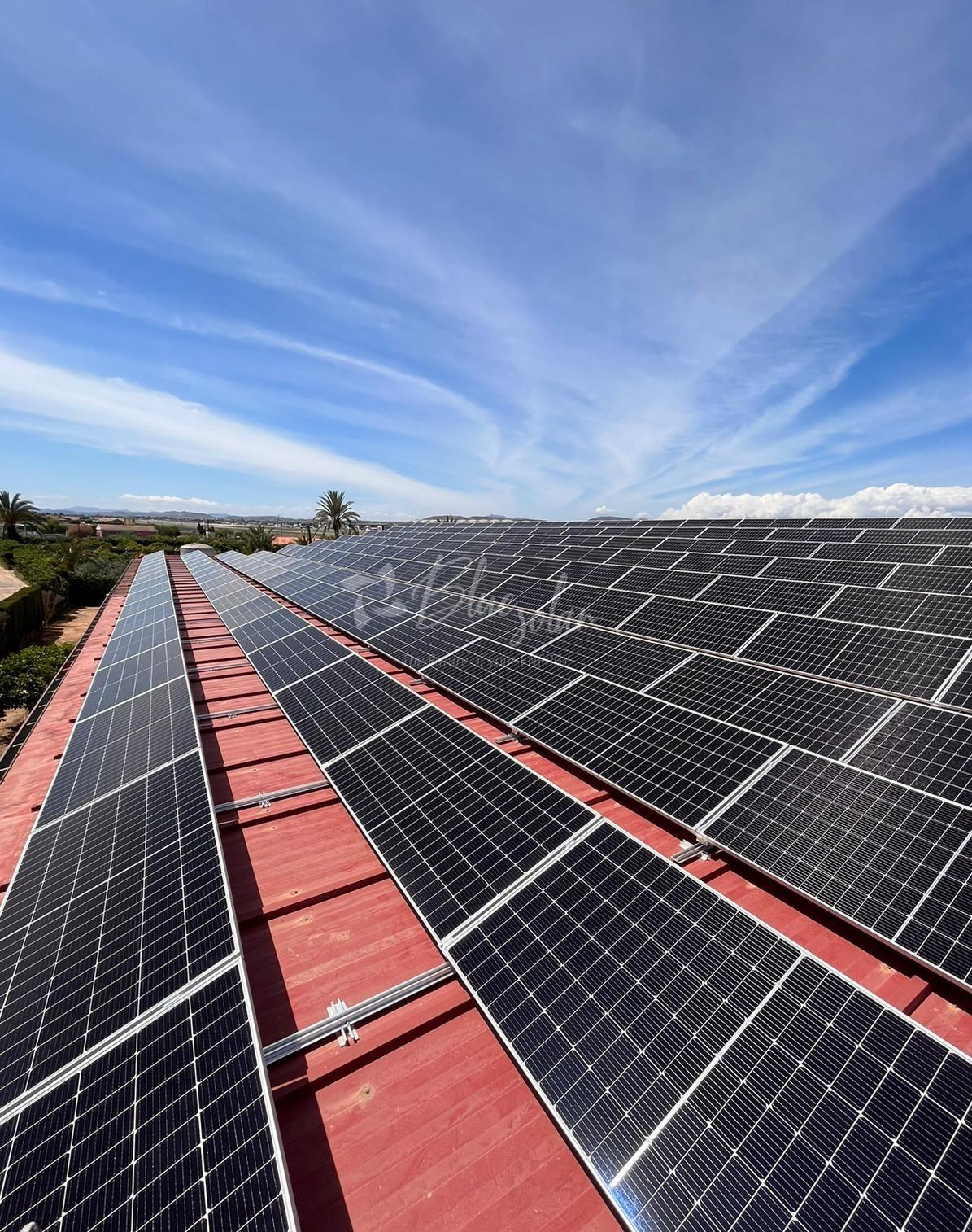 Elche Alicante 115,92 kWp